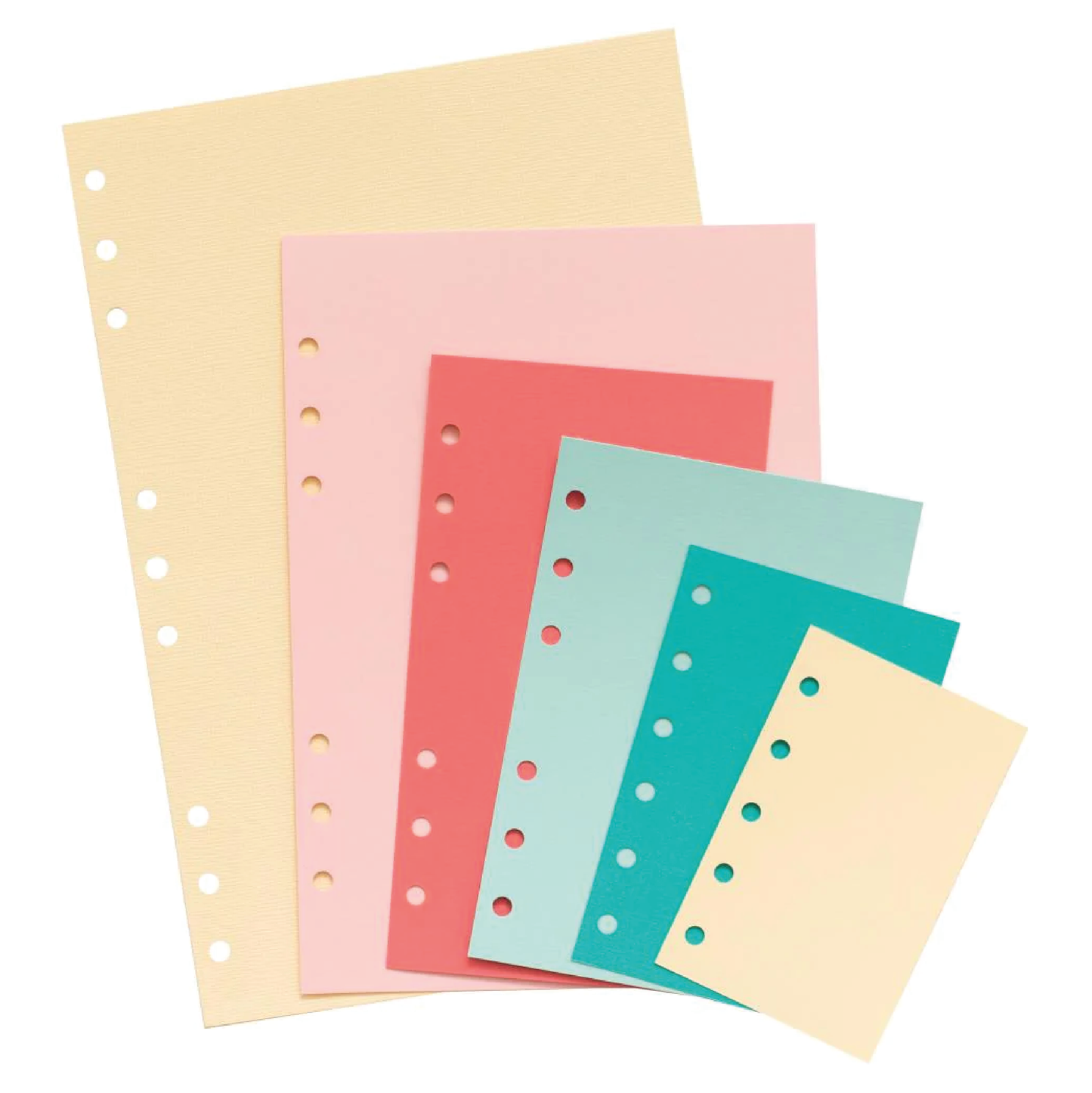 PERFORADORA WE R DE 6 ORIFICIOS AJUSTABLE